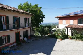 Il Grillo Parlante - Image 4