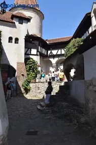 LE DOMAINE DU HIBOU - Image 2