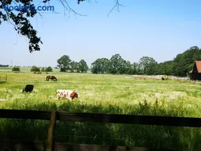 Camping Farm - Image 3