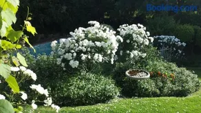 Three Oaks - Image 3