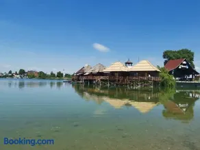 Senec vilka na jazere - Image 2