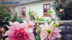 Rose Cottage - Image 1