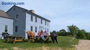 Family Friendly Highland Cattle Farm with Panoramic Views - A - Image 2
