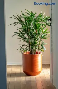 Raj v Slovenskom Raji 2 samostatné apartmány - Image 2