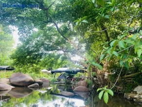 Suối Mơ Dốc Tình Glamping & Retreat - Image 3