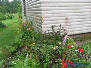 Apartement - Image 1