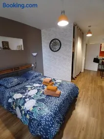 appartement renové , quartier historique du panier , centre-ville - Image 5