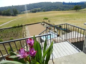 Les violettes du Bugey - Image 3