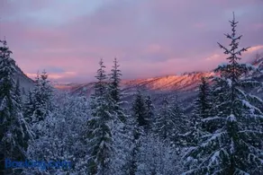 Hot Tub Cool Views: Roaring Creek Cabin - Image 2