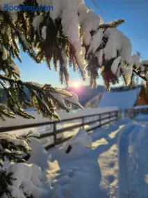 Cabana Lupul din Apuseni - Image 1
