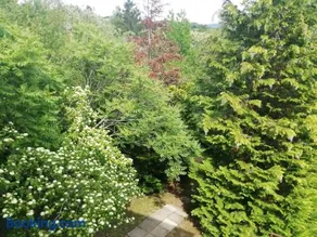 City View Eger - Image 4