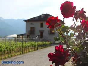 Locanda L'Amorosa - Image 5