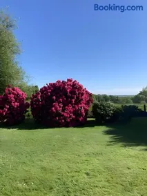 Sous Les Bruyères - Image 5