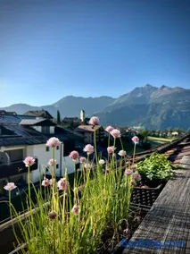 Mira Piz Signina - Wunderbare Dachwohnung mit Blick in die Berge - Image 3