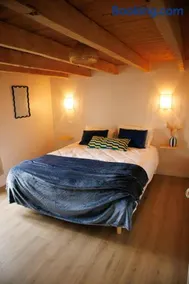 Gîte l 'Oasis des copains - Image 4