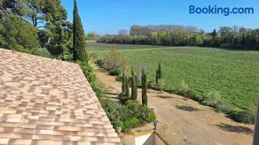 Domaine de l’Herbe Sainte - Image 3