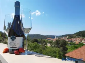 Villa Cagle Skradin - Dream view and full privacy in oasis of peace - Image 2