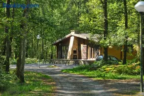 Meleze - Oignies - Image 1