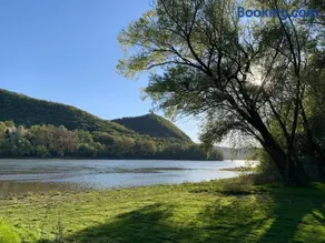 Bambuszkert - Image 3