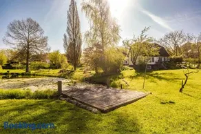 Teichrose - Image 1