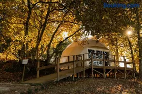 Manteiros Glamping - Image 2