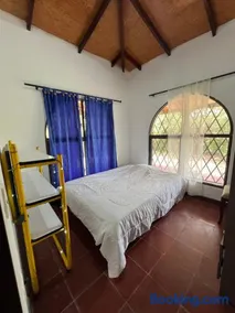 Finca Villa Oliva - Image 2
