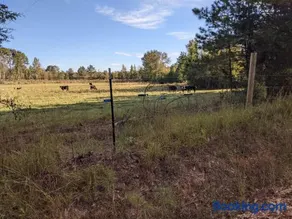 Clayhills - Image 2