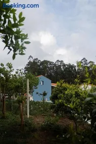 Casa da Milheira - Agroturismo - Image 4
