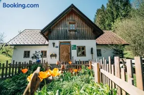 Ferienhaus Lenzau - Image 1