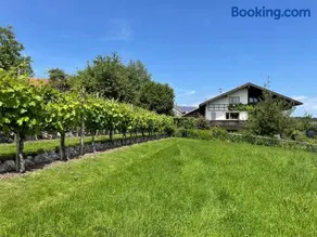 Apartment Am Weinberg - Image 1