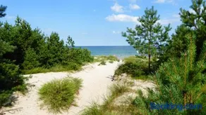 Ferienhaus Gut Rattelvitz Insel Rügen - Image 3