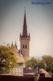 Včelařství pod svatým Floriánem - Image 3