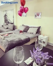 Stari Zaječar apartments - Image 4