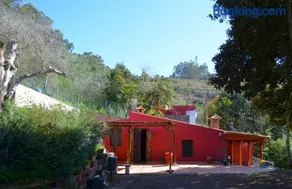 Sombra del Laurel - Image 3