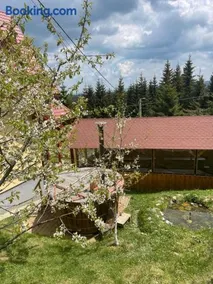 Pensiunea Casa OLLY - Image 2