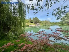 La Cabane Sur L'étang Des Sources - Image 3