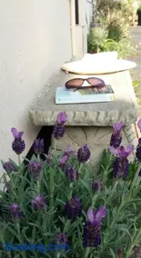 Bossell Cottage Devon - Image 2