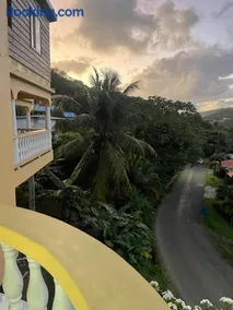 Tropical Harbour View - Image 3