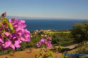 Apartman Halugica - Image 2