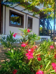Lozyata Guest House - Image 1