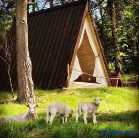 Sandfallet Glamping - Image 2