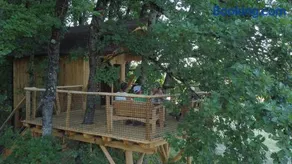 Cabane Philibert - Nature et calme au Bois de Cussac - Image 2