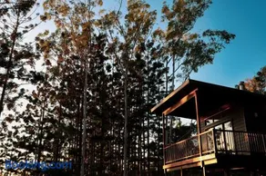 Rainforest Gardens - Luxury Hillside Accomodation with Views to Bay & Islands - Image 4