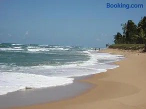 Paribahia - Image 2