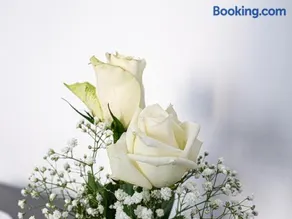 biRose B&B Affittacamere - Image 1