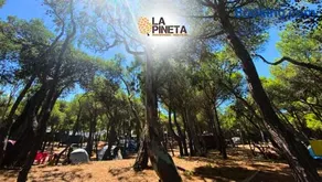Agricampeggio La Pineta - Image 4