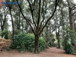 Agriturismo la Romanella - Image 2