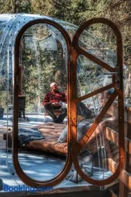 Treetop igloo by the river - Image 5