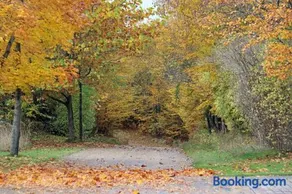 Nordic Park - Image 4