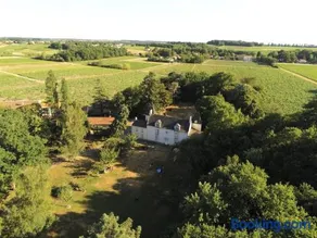 Du Vignoble à l'Atlantique - Château Cassemichère gîte - Image 1